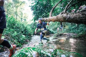 BIB: 
                            <button type="button" onclick="openModal(25436972)" class="btn btn-primary btn-sm float-right btn-popup" data-toggle="modal" data-target=".modal-high-quality">
                        <i class="fas fa-shopping-cart"></i> Add to Cart
                    </button>
                                            <button type="button" onclick="isThisMe(25436972, true)" class="btn btn-success btn-sm float-right btn-popup btn-isme hidden" data-toggle="tooltip" data-placement="bottom" title="นี่คือรูปของคุณใช่ไหม คลิกที่นี่เพื่อเอาเข้าอัลบั้ม">
                        <i class="fas fa-plus"></i> Add to album
                    </button>
                    <button type="button" onclick="isThisMe(25436972, false)" class="btn btn-warning btn-sm float-right btn-popup btn-isnotme hidden">
                        <i class="fas fa-ban"></i> Remove from album
                    </button>